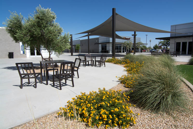 image of the planters growing in the foreground with outdoor tables and shade structures in the background.