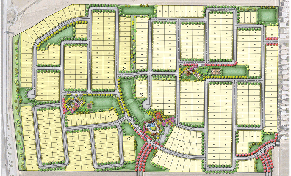 A rendering of a plan showing the organization of the lots, streets, plants, and community areas.